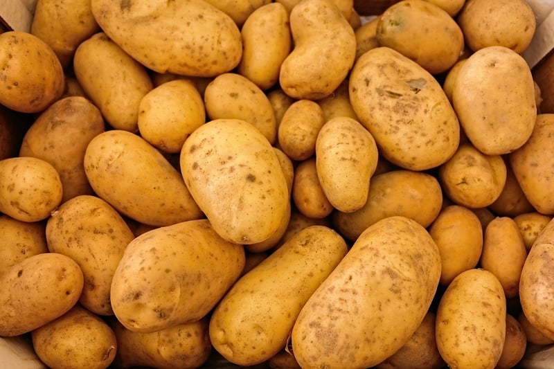 Fresh Local Ingredients
